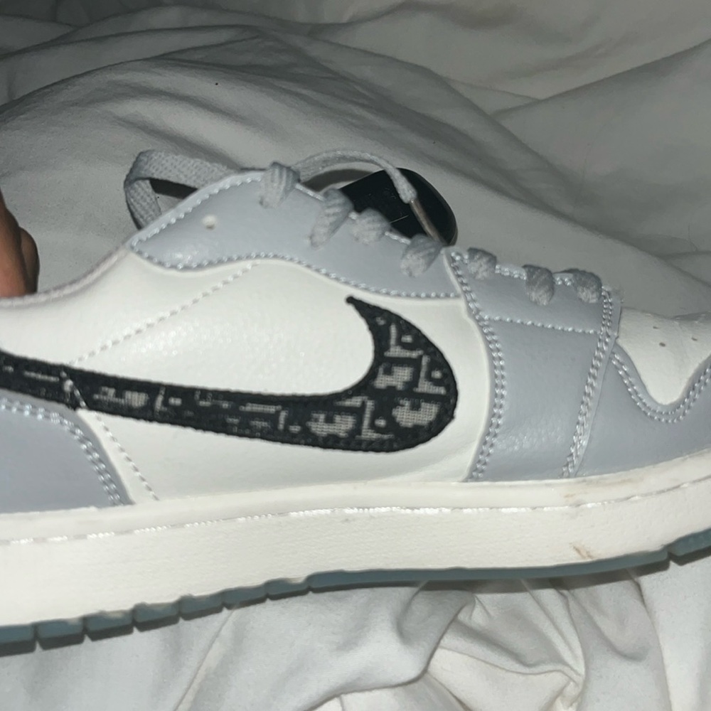 dior dunk lows